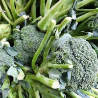 broccoli project thumbnail