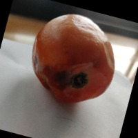 Dataset Image