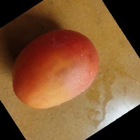 Dataset Image