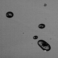 Droplet detection project thumbnail