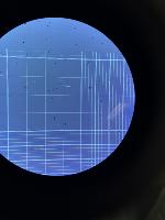Cells segmeentation project thumbnail