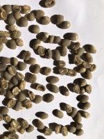 Coffee Deffect and Contaminant project thumbnail