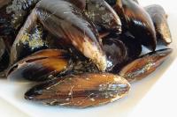 Oysters_Abnormalities_Instance project thumbnail