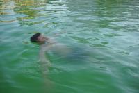 Drowning-Detection-Pose-V1 project thumbnail