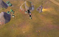 Dataset Image