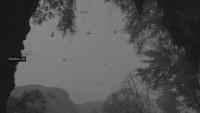 Deteccion_aves project thumbnail