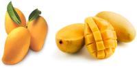 fruit project thumbnail