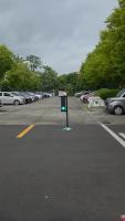 Find greens and traffic project thumbnail