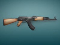 Dataset Image