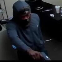 Dataset Image