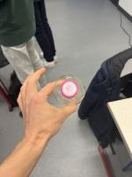Dataset Image