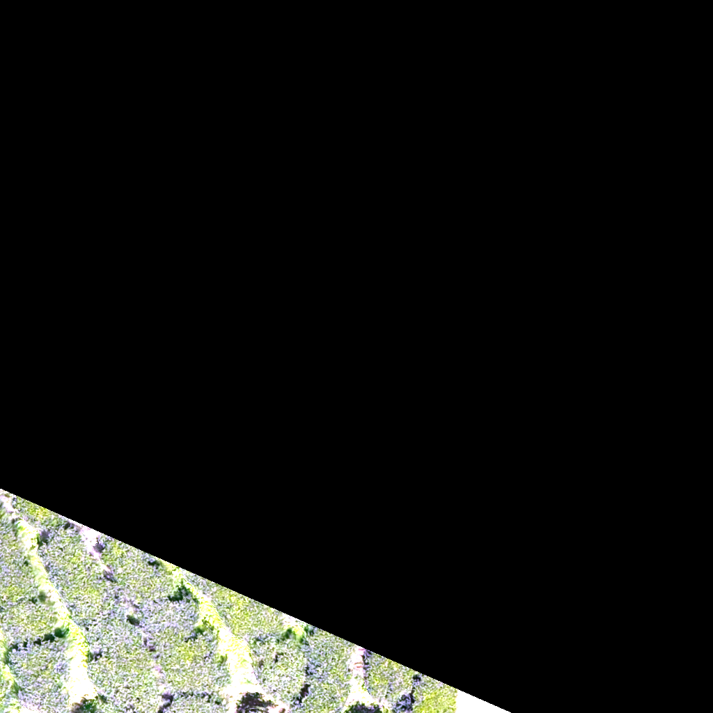 Plant Instance Segmentation Model By Segmentation
