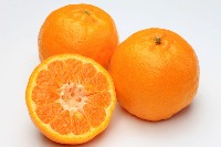 Oranges project thumbnail