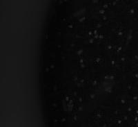 r project thumbnail