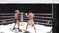 mma_merged project thumbnail