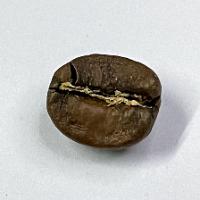 Kopi Sangrai project thumbnail