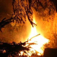 FireDetection project thumbnail