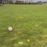 training cone project thumbnail