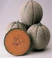 fruit project thumbnail