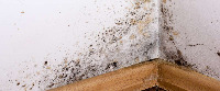wall defects project thumbnail