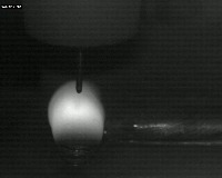 Train_nur bounding box project thumbnail