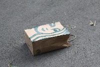 Paper Bags project thumbnail