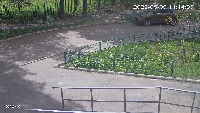 TG_bot_1 project thumbnail