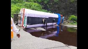 E LEARNING ZSOLA SULI visual data 5