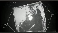 20230617_Shrimp Night project thumbnail
