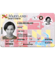 Drivers License Object Detection Model by Henry