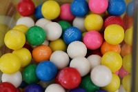 Dataset Image