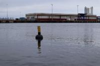 buoy project thumbnail
