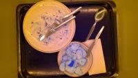Object Detection Food project thumbnail