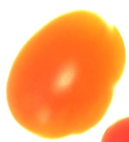 TEST2 project thumbnail