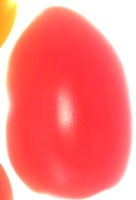 TEST3 project thumbnail