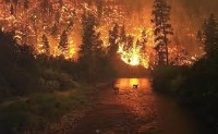 firetanimi project thumbnail