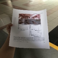 Document Segment project thumbnail