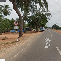 Dataset Image