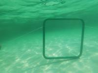 aqua green project thumbnail