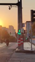 traffic_light project thumbnail