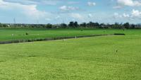 sawah-bagi-empat-datatest project thumbnail
