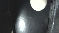 Raspberry Pi Egg Classification project thumbnail
