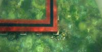 Line_Segmentation project thumbnail
