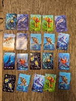 Ecosystem 2 project thumbnail