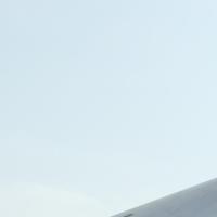 WTB2025 project thumbnail