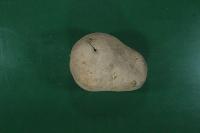 potato segmentation project thumbnail