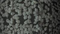 Detection project thumbnail