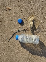 Litter_Audits_Segmentation project thumbnail