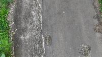 pothole_ver1 project thumbnail