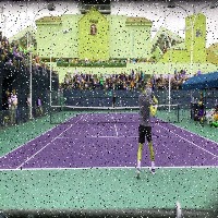 Dataset Image
